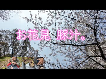 お花見　豚汁。