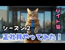 【単発バイト猫のハル】第１５話 ハルが、正社員になるって本当！？