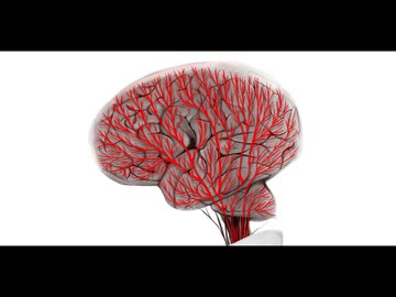 無能 /重音テト