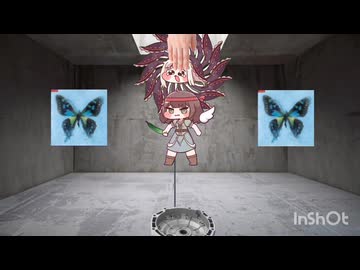 キュウイとスピキの活用