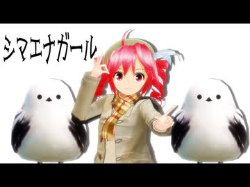 【重音テトSV】シマエナガール【SynthesizerV カバー曲】