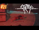 【ﾈﾀﾊﾞﾚ有】まいごのこねこ Part.21【STRAY】