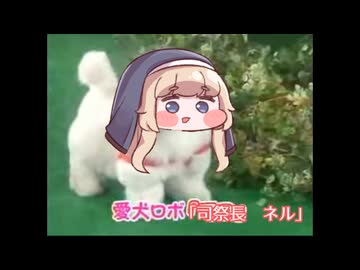 愛犬ロボ　「司祭長 ネル」