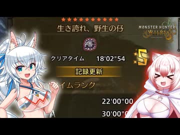 スラアク使いのカミンちゃんがもっと駆け抜ける！ワイルズPart19【MHWilds】