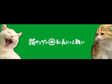 猫で鉄火場なゲーム【猫ヤクザの仁義にゃき戦い】
