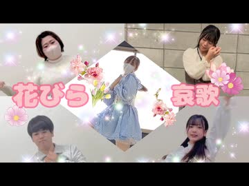 【くーまいかる☆ふーる】花びら哀歌  踊ってみた【初コラボ】