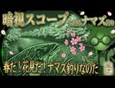 春だ！花見だ！ナマズ釣りなのだ