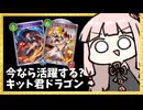 忘れていませんか『キット』というディスカと相性の良いカードの存在を【シャドバWB】
