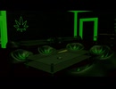 【VRChatワールド紹介】Stoned Out Hangout ｜FULL RELEASE