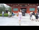 沢地優佳の浅草散策
