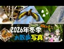 2026年冬季お散歩写真の動画