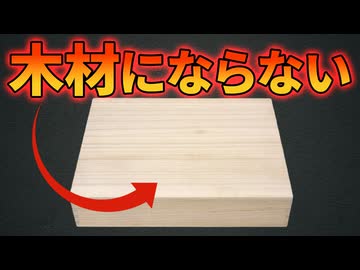 北米で爆増する桐が木材にならない理由【生物解説】