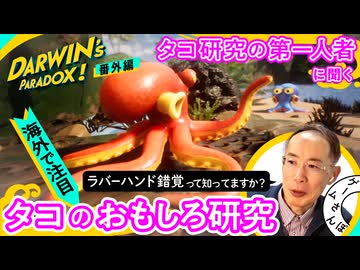 【海外も注目】「タコも人と同じ錯覚を起こす？」タコ研究の第一人者に聞くおもしろ研究｜番外編