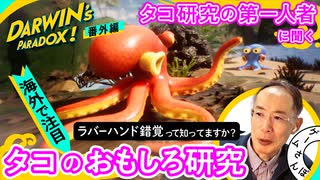 【海外も注目】「タコも人と同じ錯覚を起こす？」タコ研究の第一人者に聞くおもしろ研究｜番外編