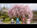 さくら【VOICEVOX合唱】