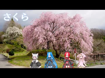 さくら【VOICEVOX合唱】