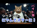 【単発バイト猫のハル】第１６話 ハルがにゃんと！スターに!?