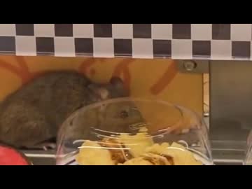 ホモと見る限界突破した中国の回転寿司屋