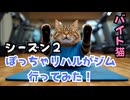 【単発バイト猫のハル】第１９話 ぽっちゃりハルが、ジムに行くって！