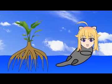 虎視トラッコ　千尋の谷編