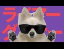 【16歳が犬と一緒に】『ライアーダンサー』歌ってみた／でぃむら feat. コタロー
