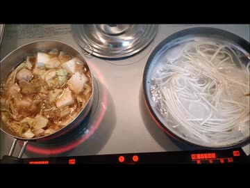 ちゃんこ鍋（うどん入り）を作ってみた