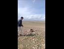 Artillería de bajo presupuesto...low-cost artillery