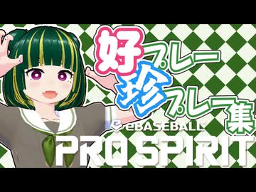 eBASEBALL:PRO SPIRIT 好プレー珍プレー集