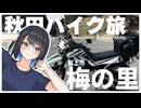 梅の咲き具合を見てきた動画です。