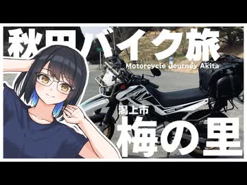 梅の咲き具合を見てきた動画です。