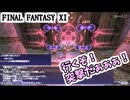 【FF11】今日こそいいもの出るかも！？キャンペーンに期待を込めてナイズル４０層へ！
