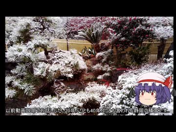 ゆっくり農民282畑を拓いてみませんか？#49