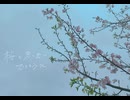灰時雨、桜/VY1_Lite