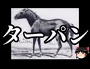【ゆっくり朗読】ゆっくりさんと絶滅した生物　その79