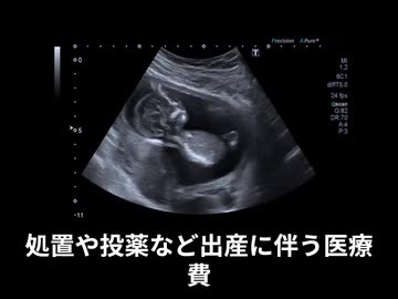 出産扶助制度ってどんな制度なの