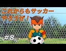 【実況】世界一になったと思ったらもう卒業！【イナズマイレブン 英雄たちのヴィクトリーロード】Part8