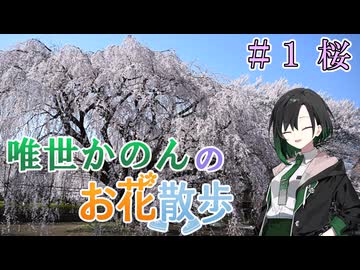 【唯世かのん誕生祭2026】唯世かのんのお花散歩 #1 桜