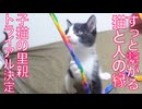 繋がる猫のご縁、子猫のトライアル先が決定！
