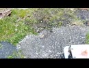 2年ぶりベース基地へ片付けられたテント確認してきました 今回とりあえずバックだけ回収 明日以降ナイフやノコギリ 槍をチェックしてみますおそらくサビ切ってると思います　その1