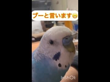 ぼくはブーッと鳴くよ