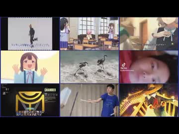 Bloodsucking Universeって名前で投稿しようとしたけどAviUtl2の使い方わかんなくてイライラしたのでやめます.prproj
