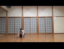 【全力!!】定点一発撮りソロで クレイジー・ビート 踊ってみた 7/10【サセ】