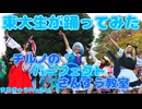 【東大生が】チルノのパーフェクトさんすう教室【踊ってみた】