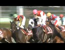 2012 産経大阪杯 (GII)　ショウナンマイティ