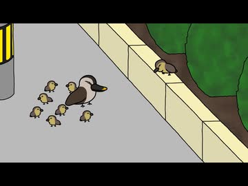 カルガモ