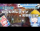 【SR400】横浜ライダーがSR400と関東の名道を探す旅 第79回「日塩もみじライン→鬼怒川温泉」