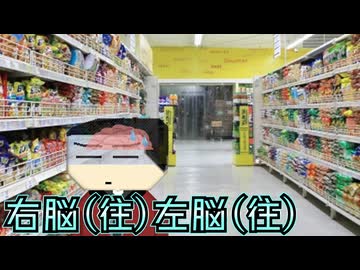 右脳(往)左脳(往)【ソフトウェアトーク劇場】