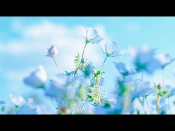 【BL】中村悠一 一部のみ抜粋