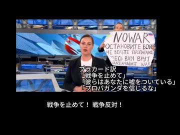 ウクライナ2022(7/8) ドネツ川の戦い