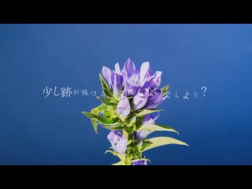 キュートアグレッション / とうふ【歌ってみた】
